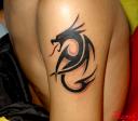 DRAGONS