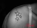 ETOILES