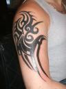 TRIBAL